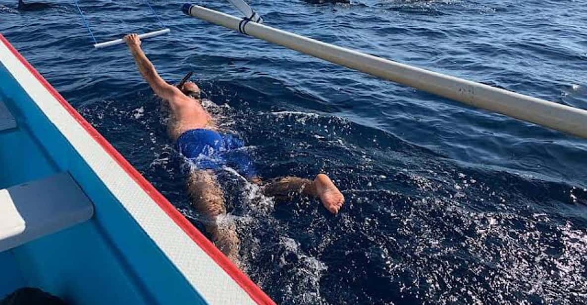 LOVINA DOLPHIN ADVENTURE